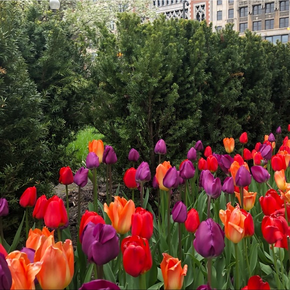 Meet your Posher, Daniel - Picture 1 of 1